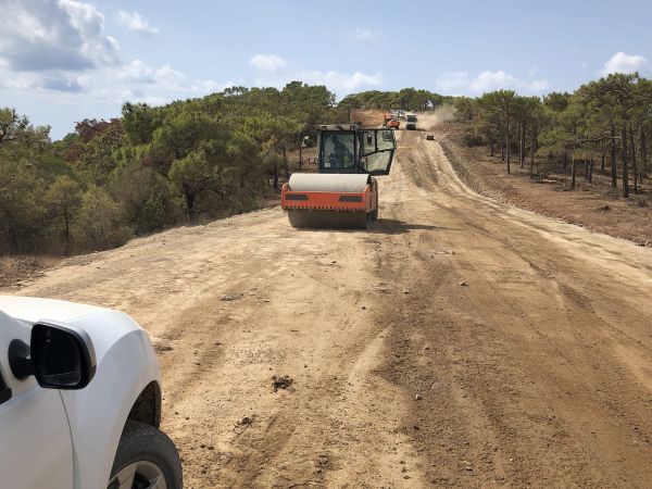 Cost of Driveway Grading in Lenoir City