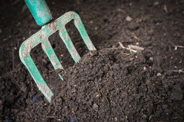 Cost of Topsoil Spreading in Lenoir City