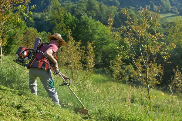 Cost of Slope Trimming in Lenoir City