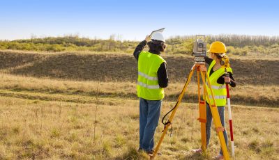 Surveying Professionals